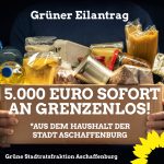 Grüner Eilantrag: 5.000 Euro Soforthilfe der Stadt an Grenzenlos!