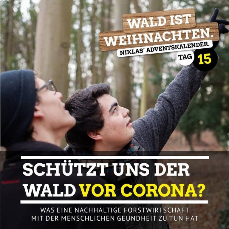 Schützt der Wald vor Corona?