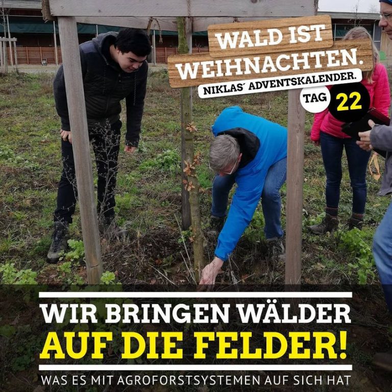 Wälder auf die Felder