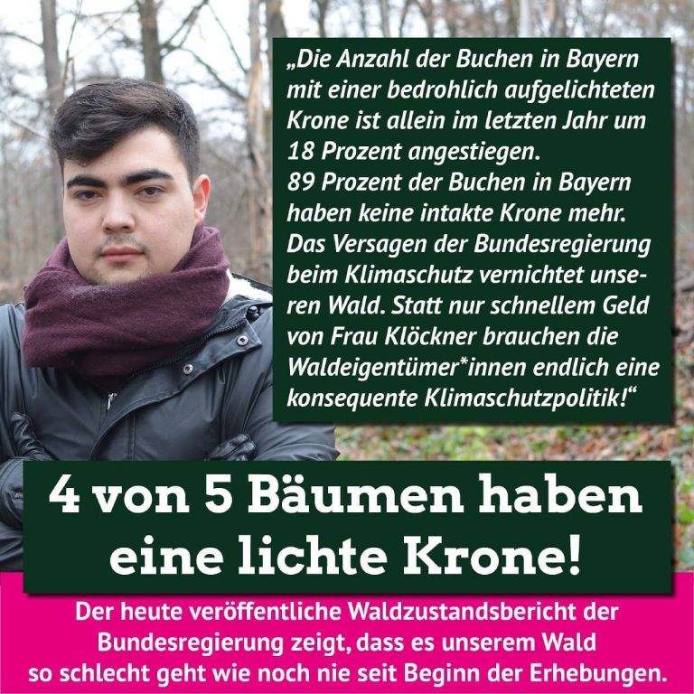 4 von 5 Bäumen haben eine lichte Krone