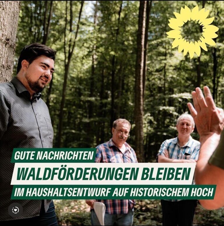 Waldförderungen bleiben erhalten